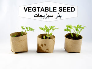 Vegetables Seed