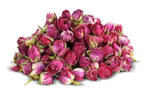 Dry Rose - غنچه گل سرخ