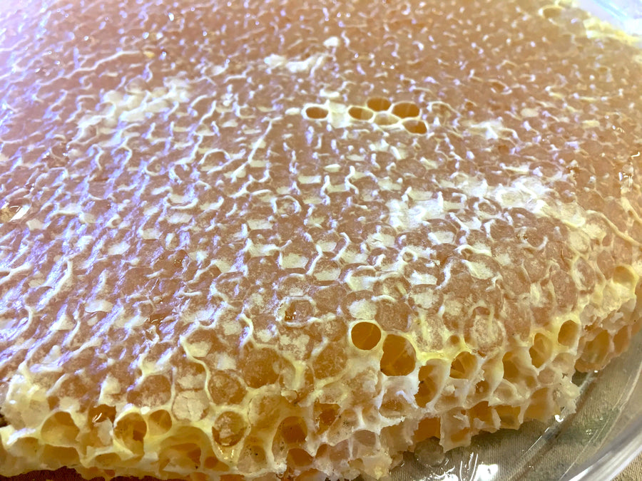 Natural honey with comb - عسل طبیعی با موم